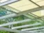 Vitello System GmbH